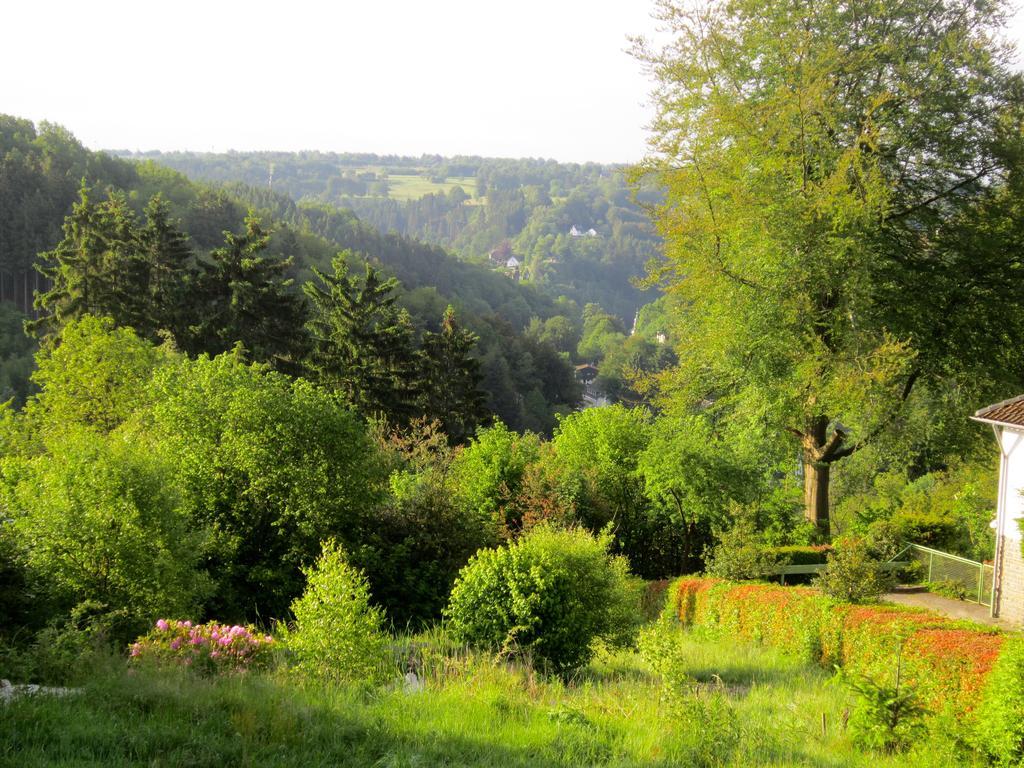 Het Groene Appartamento Monschau