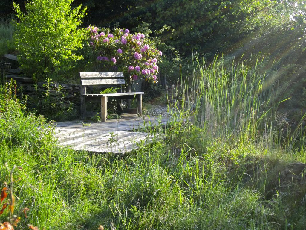 Het Groene